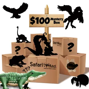$100 Mystery Box