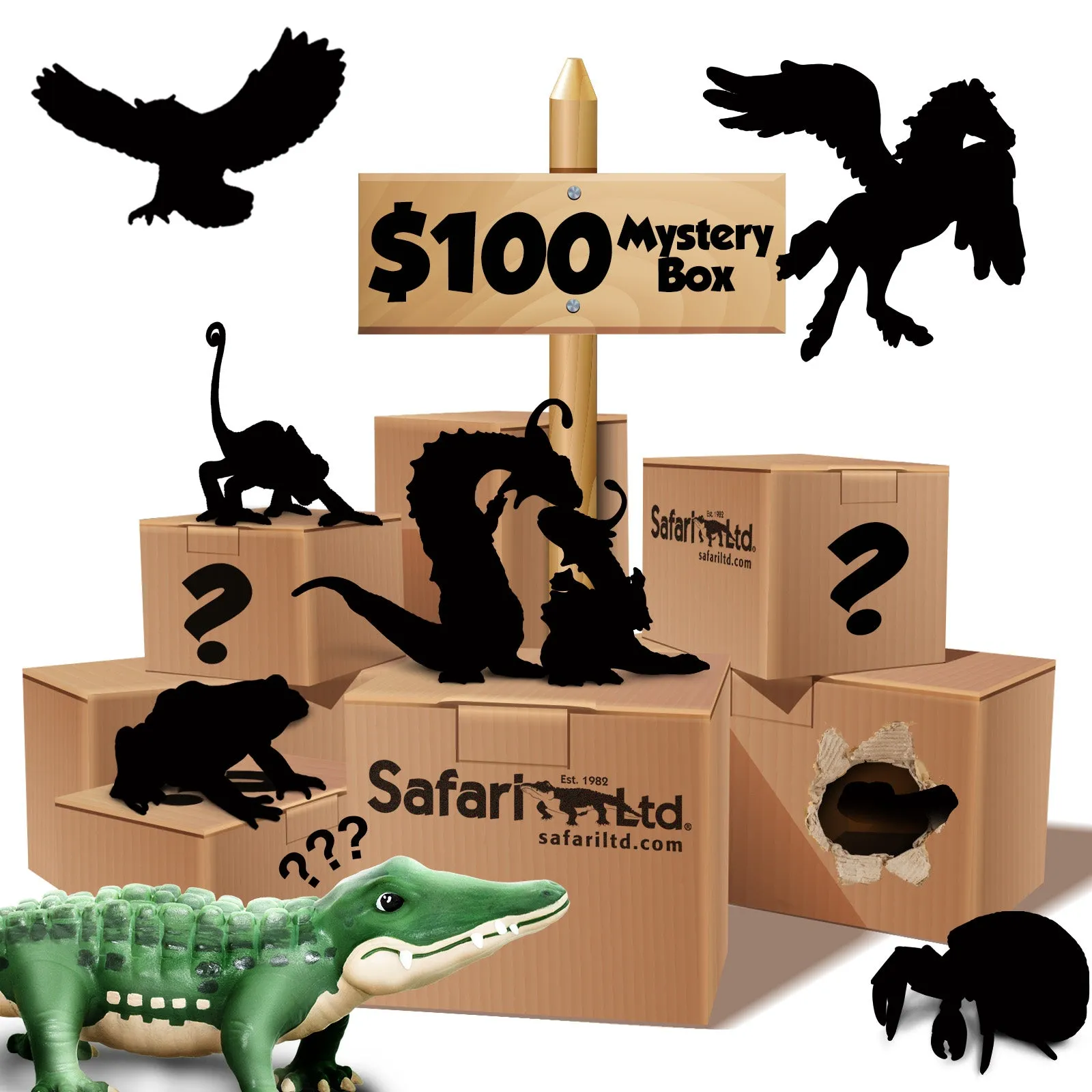 $100 Mystery Box