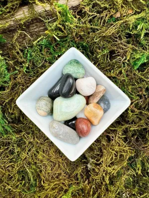 Mystery Mix Tumble Scoop